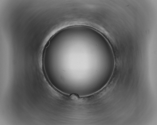X0000112071512200908041223