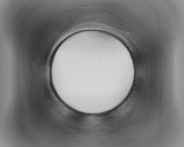 X0000112071514200908041223