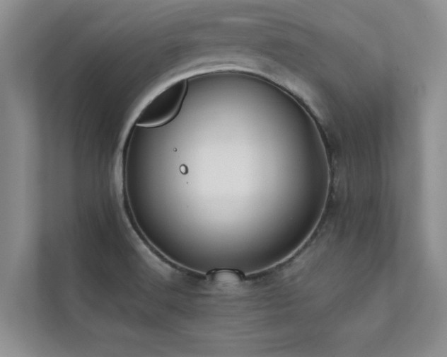 X0000112071516200908041224