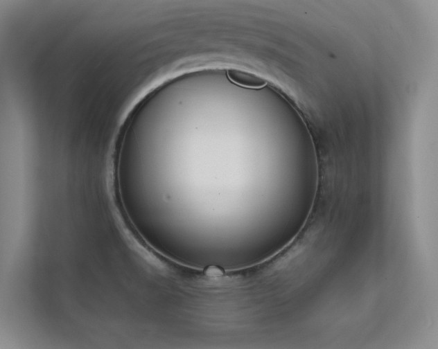 X0000112071518200908041224