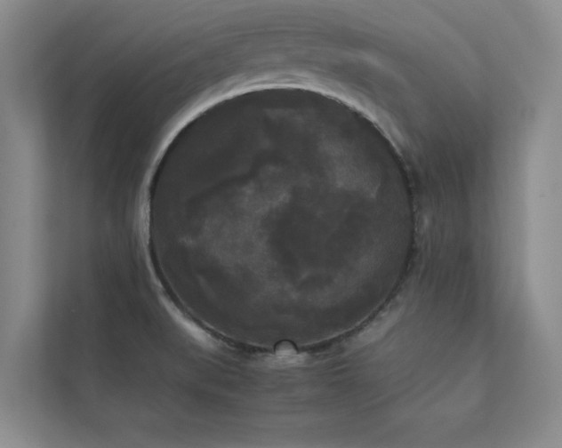 X0000112071519200908041224