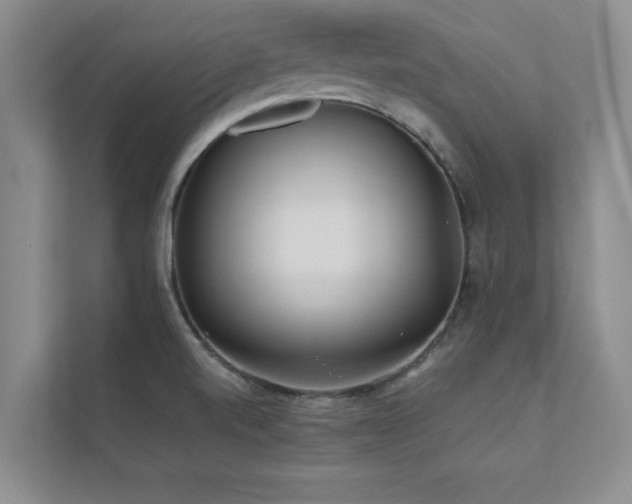 X0000112071520200908041224