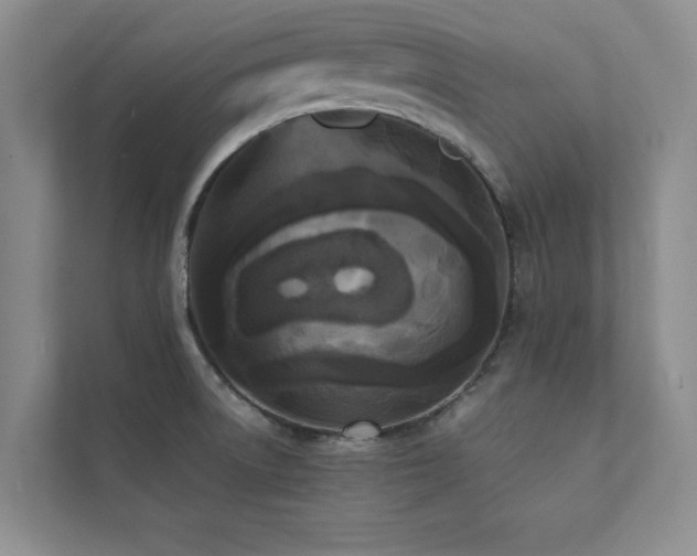 X0000112071522200908041224