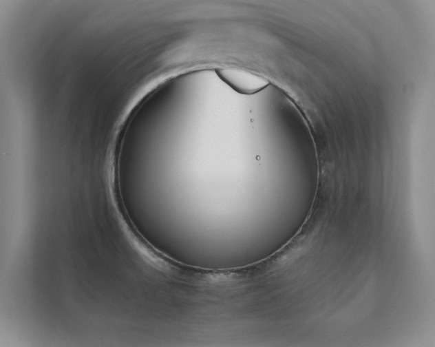 X0000112071523200908041224