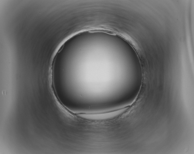 X0000112071524200908041224