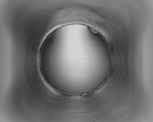 X0000112071526200908041224
