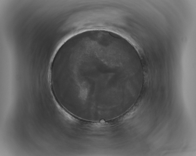 X0000112071527200908041224