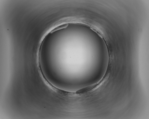 X0000112071528200908041224