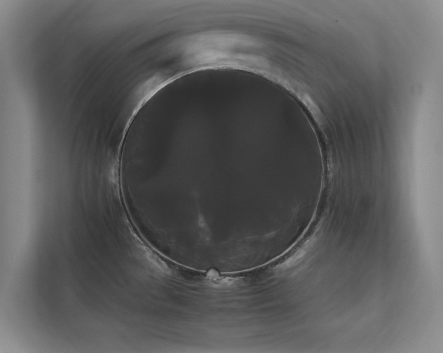 X0000112071529200908041224