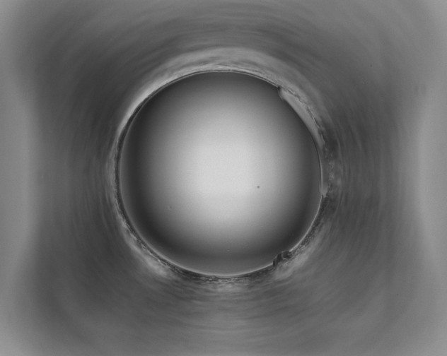 X0000112071530200908041224