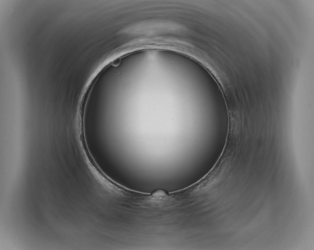 X0000112071531200908041224