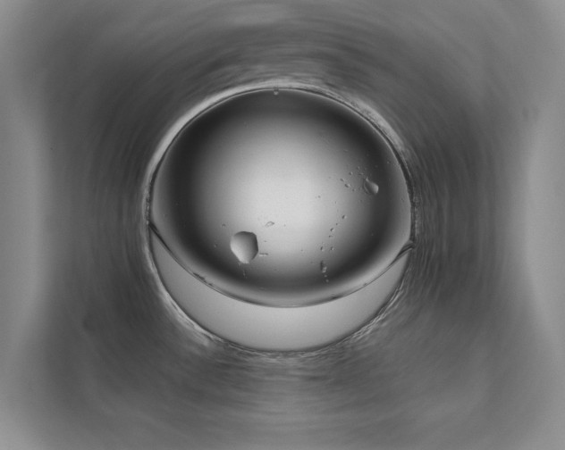 X0000112071532200908041224