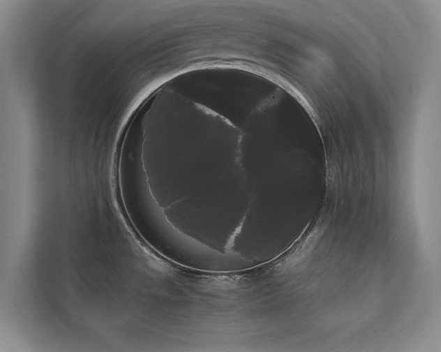 X0000112071533200908041224