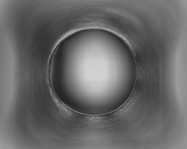 X0000112071534200908041224