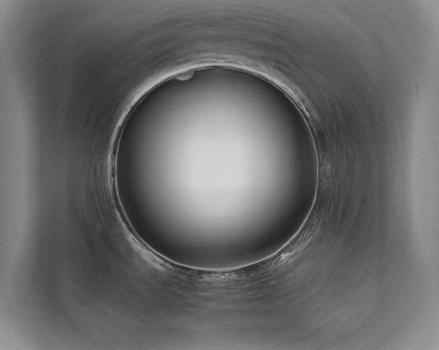 X0000112071535200908041224