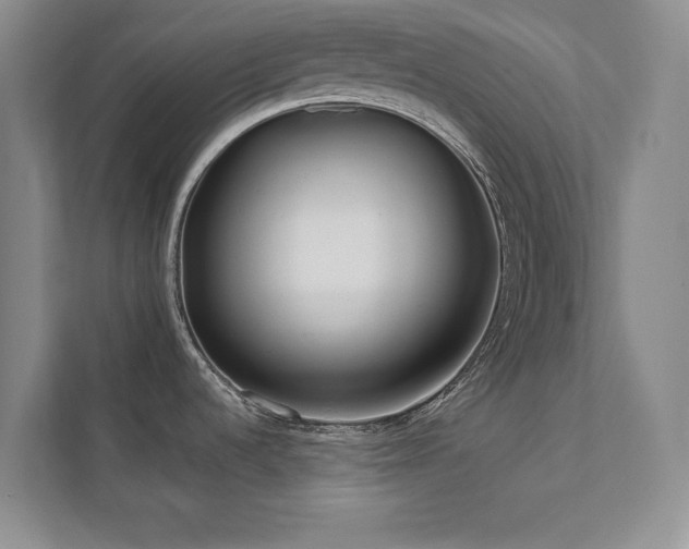 X0000112071536200908041224