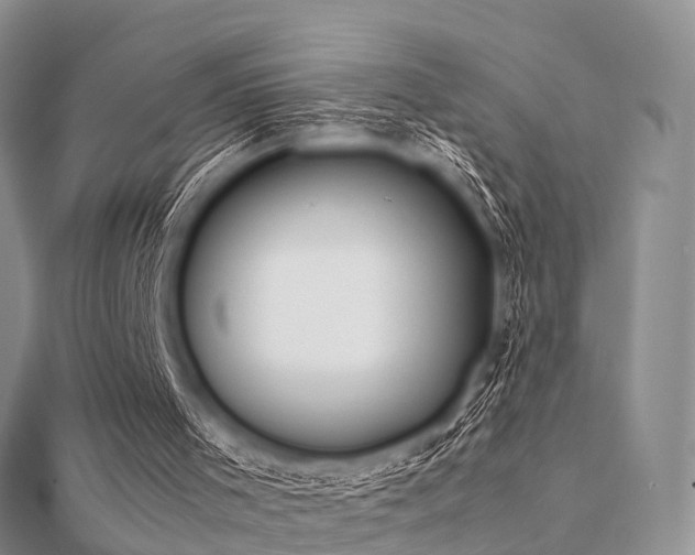 X0000112070001200908111443