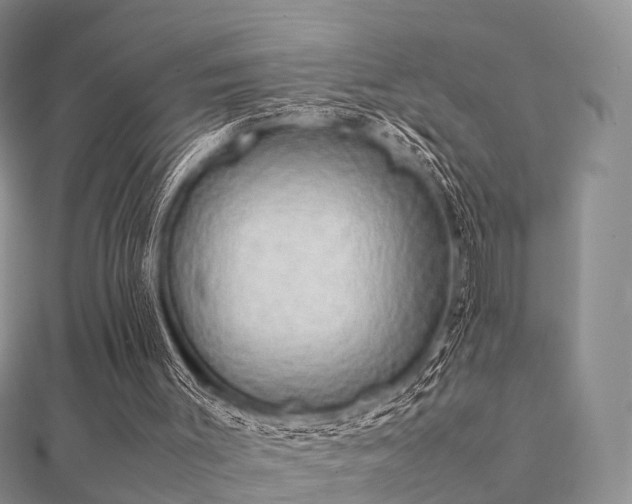 X0000112070003200908111443