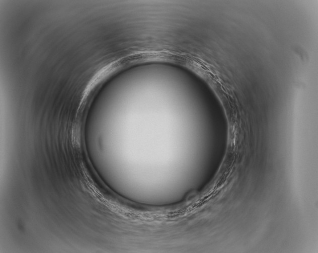 X0000112070004200908111443