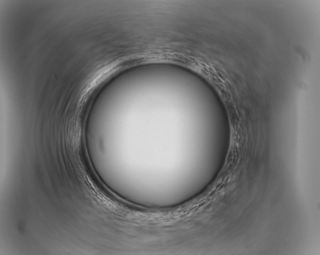 X0000112070005200908111443