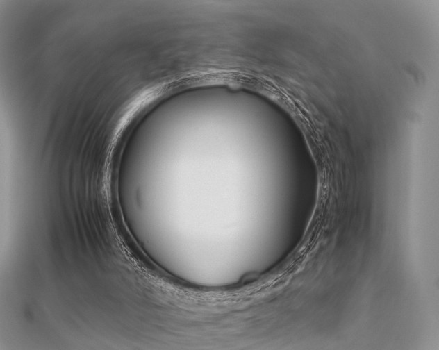 X0000112070006200908111443