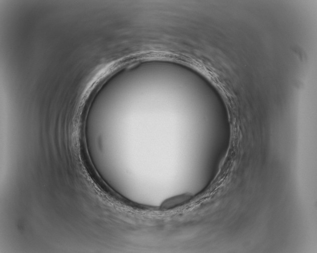 X0000112070007200908111443