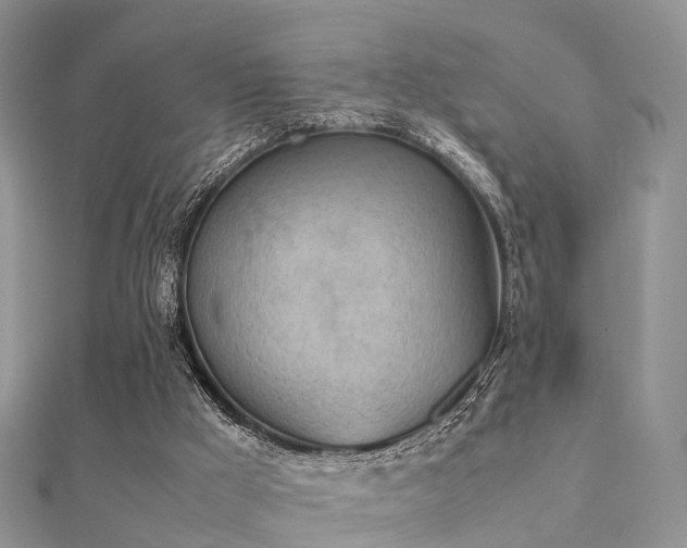 X0000112070009200908111443