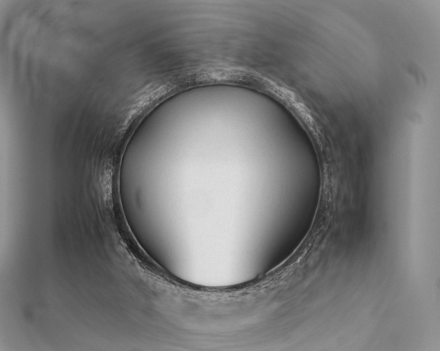 X0000112070010200908111443