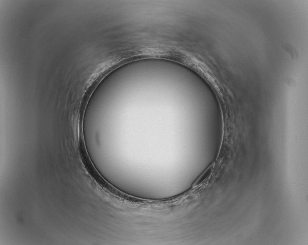 X0000112070011200908111443