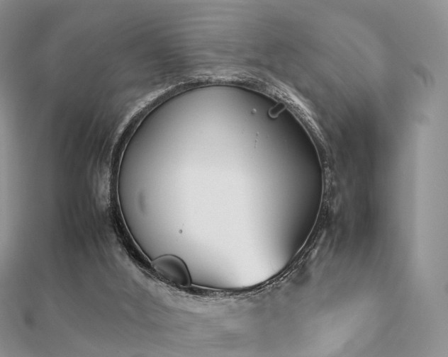 X0000112070012200908111443