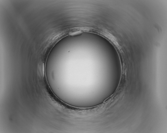 X0000112070013200908111443