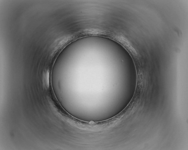 X0000112070014200908111443