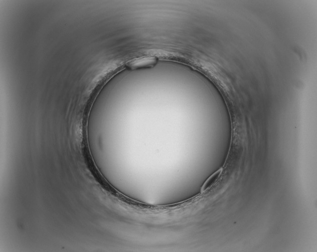 X0000112070015200908111443