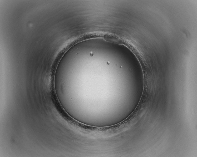 X0000112070016200908111443