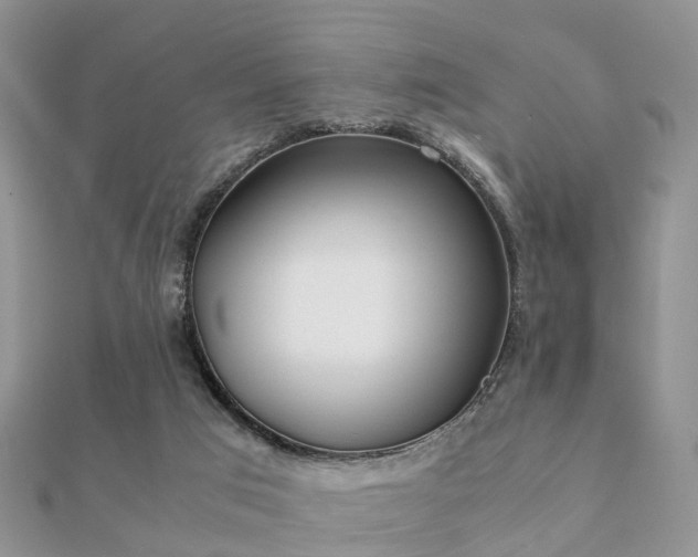 X0000112070017200908111443