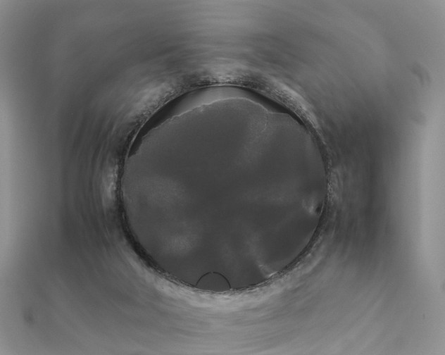 X0000112070018200908111443