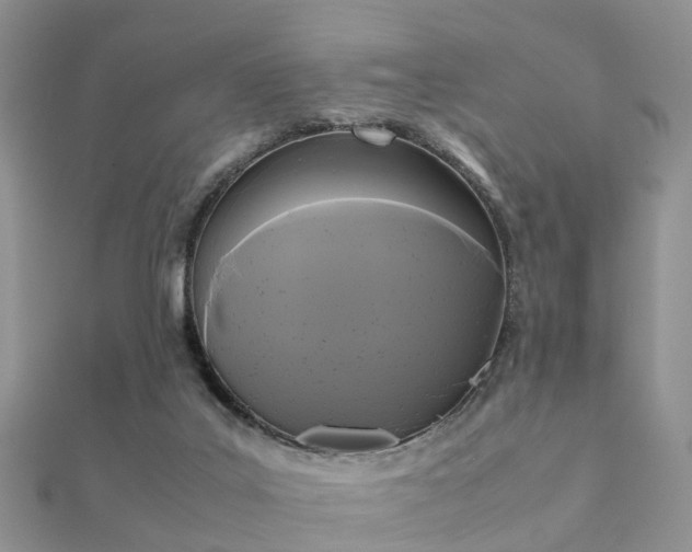 X0000112070019200908111443