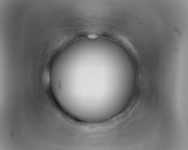 X0000112070021200908111443