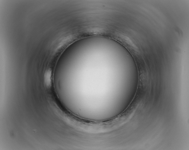 X0000112070024200908111443