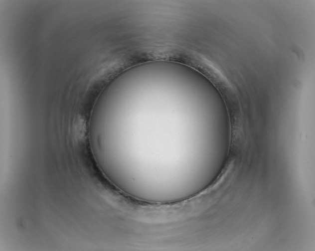 X0000112070025200908111443