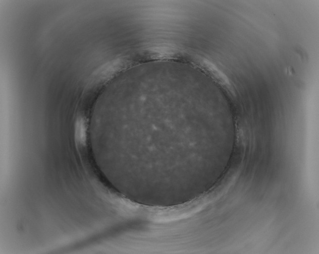 X0000112070026200908111443