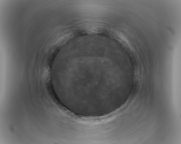 X0000112070029200908111443