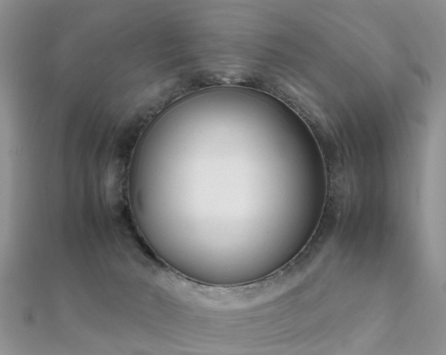 X0000112070030200908111443