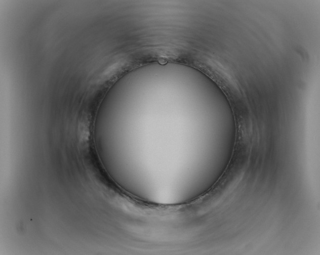 X0000112070032200908111443