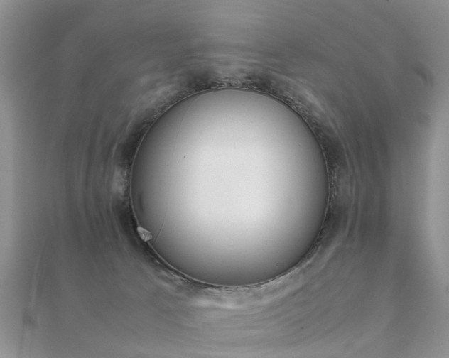 X0000112070033200908111442