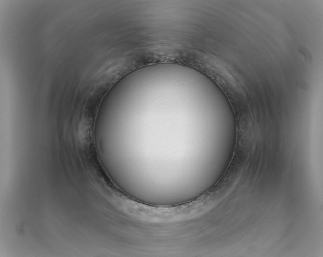 X0000112070034200908111442