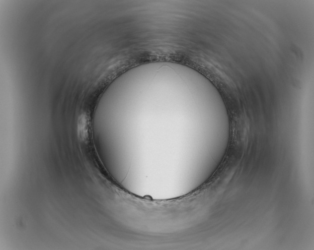 X0000112070038200908111442