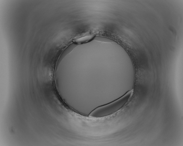 X0000112070039200908111442