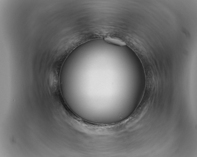 X0000112070040200908111442