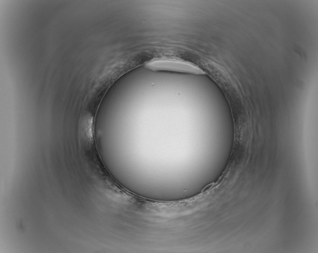 X0000112070041200908111442